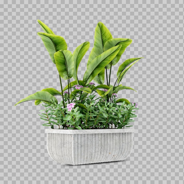 Beautiful plant in 3d rendering isolated