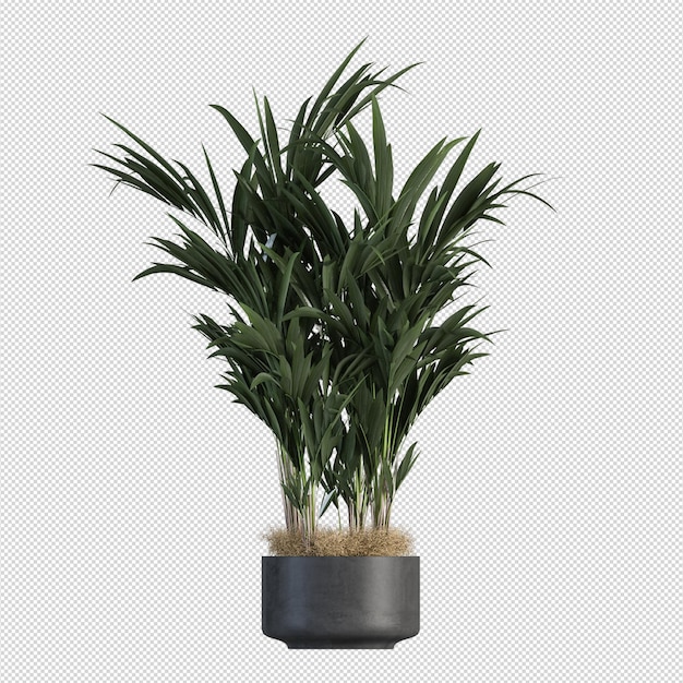 PSD beautiful plant in 3d rendering isolated