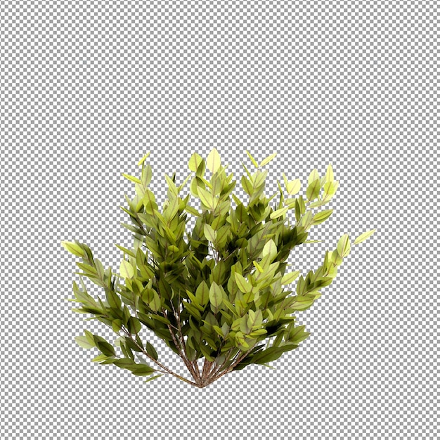 PSD 分離された 3 d レンダリングで美しい植物