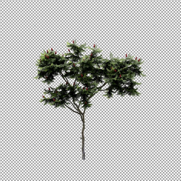 分離された 3 d レンダリングで美しい植物