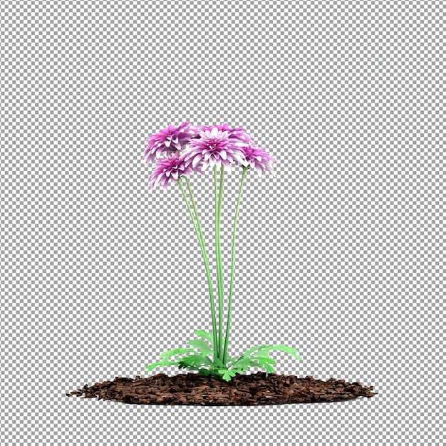 PSD 分離された 3 d レンダリングで美しい植物