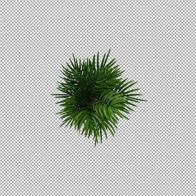 分離された 3 d レンダリングで美しい植物