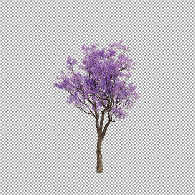 beautiful plant in 3d rendering isolated
