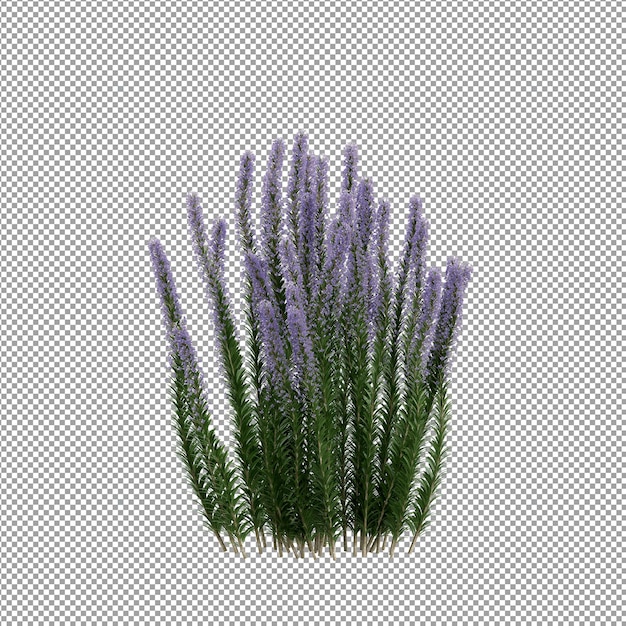 PSD 分離された 3 d レンダリングで美しい植物