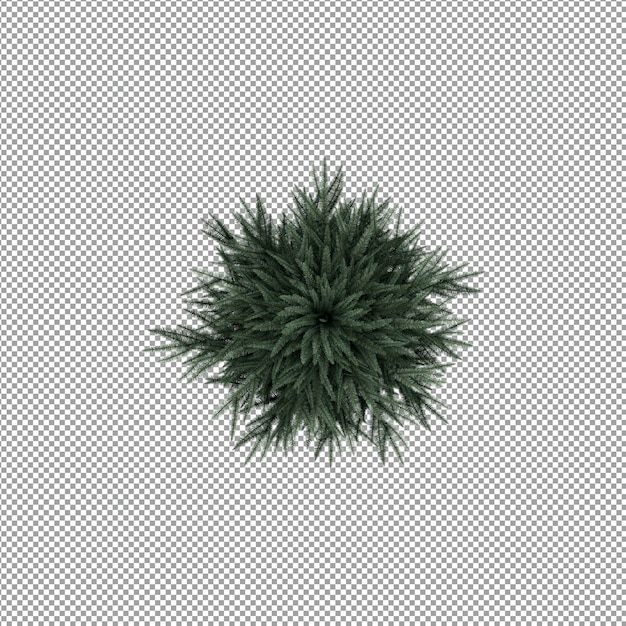 分離された 3 d レンダリングで美しい植物