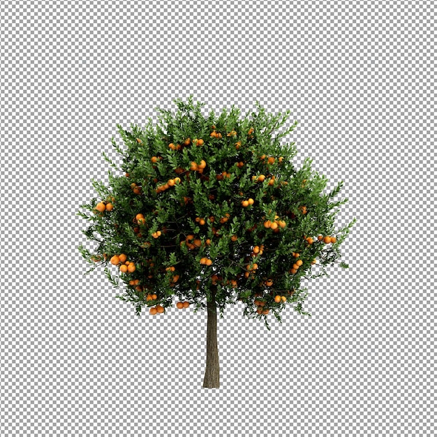 分離された 3 d レンダリングで美しい植物