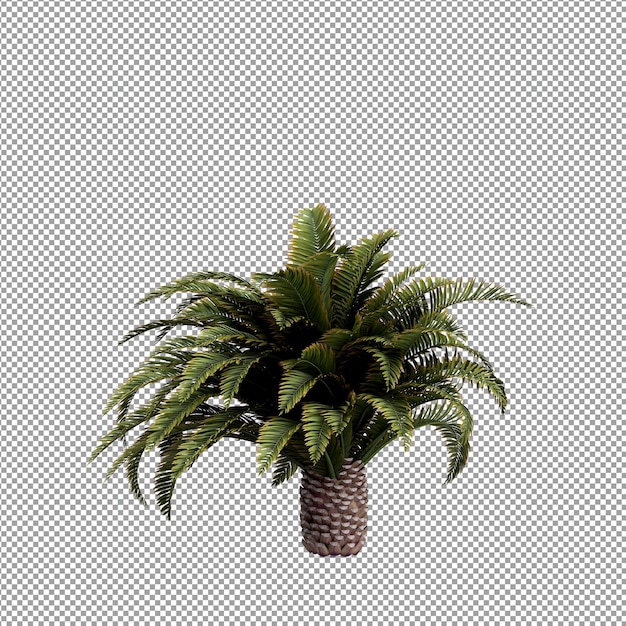 分離された 3 d レンダリングで美しい植物