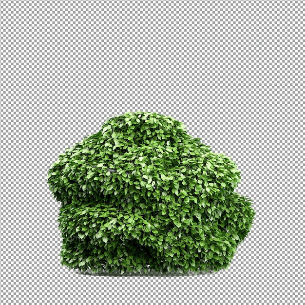 分離された 3 d レンダリングで美しい植物