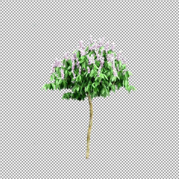 分離された 3 d レンダリングで美しい植物