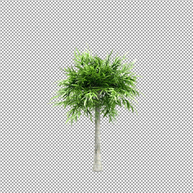 分離された 3 d レンダリングで美しい植物