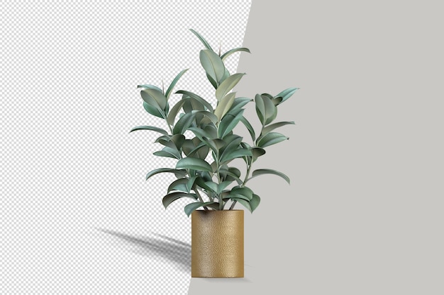 Bella pianta in vaso rendering 3d