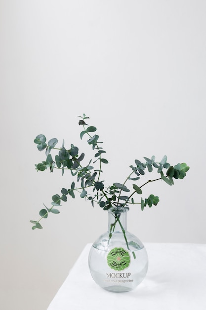 PSD beautiful plant in vase mockup