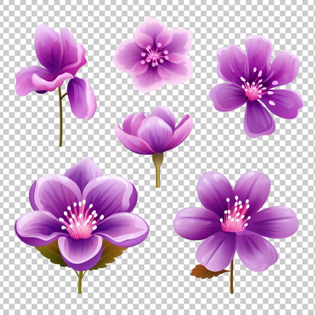 PSD bellissimo pacchetto di icone di fiori viola