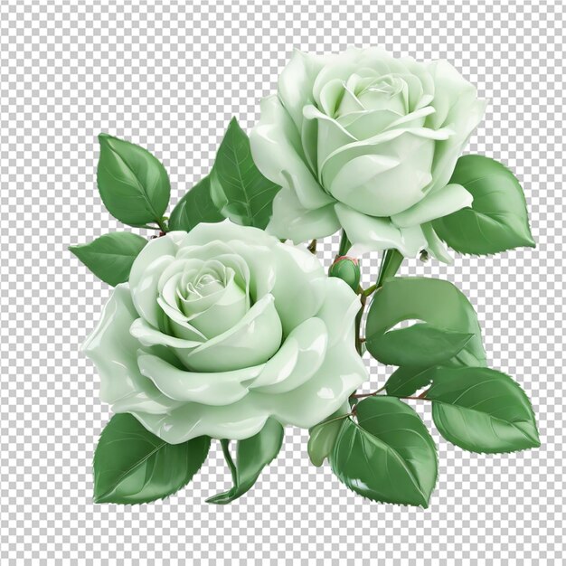 PSD beautiful rose set of illustration rose flowers clipart pro png