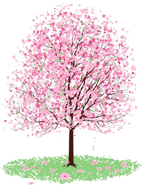 PSD bellissimi rami di sakura fiori e petali