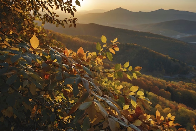 PSD bel paesaggio di montagne e foreste in autunno