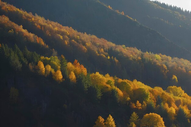 秋の山と森の美しい風景