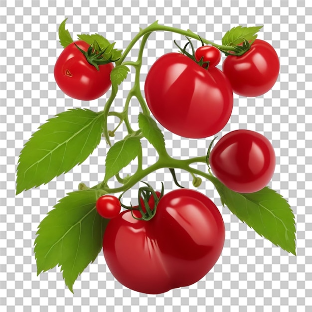 PSD bel tomato rosso fresco isolato sfondo trasparente
