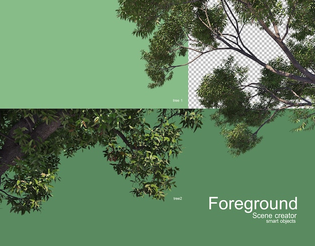 PSD beautiful tree branches foreground rendering