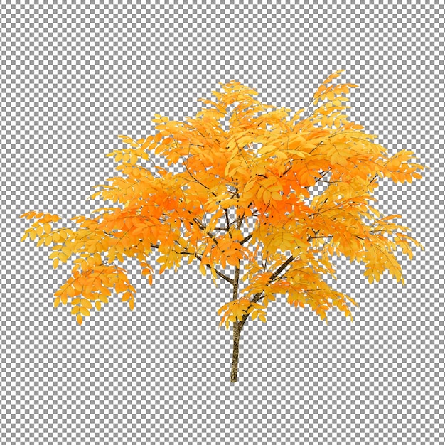 PSD beautiful tree with rich foliageforeground isolated