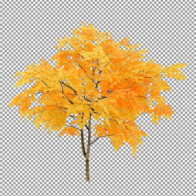 PSD beautiful tree with rich foliageforeground isolated