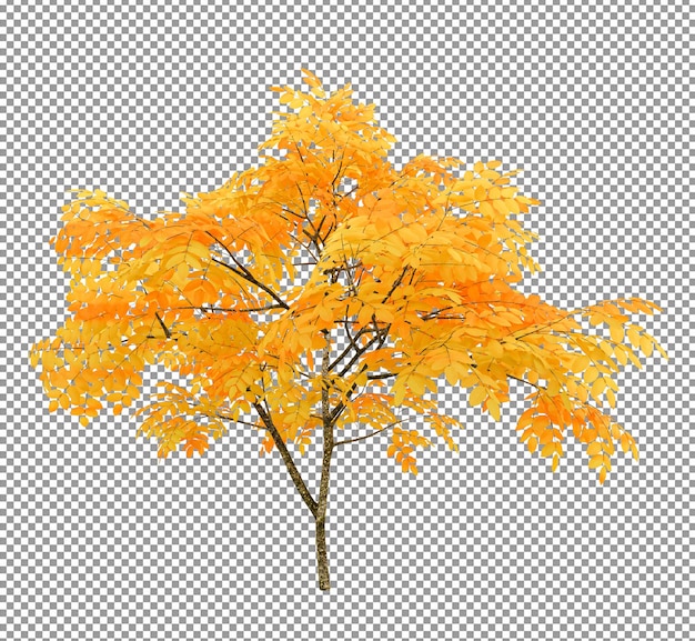 PSD beautiful tree with rich foliageforeground isolated