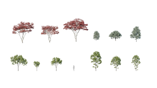 PSD beautiful trees set with transparency