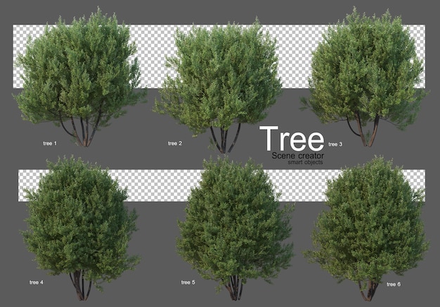 Bella varietà di rendering di grandi alberi