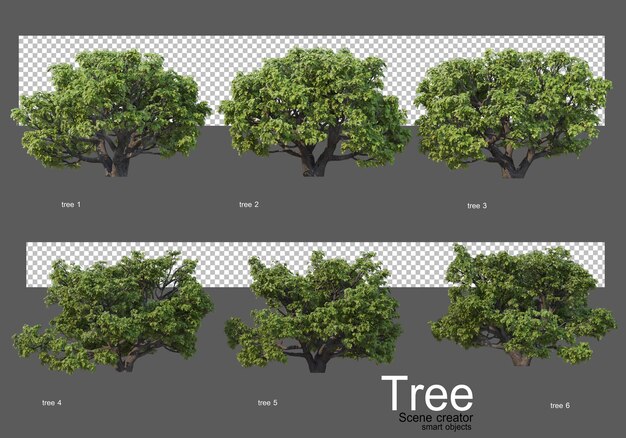 Beautiful variety of big trees rendering