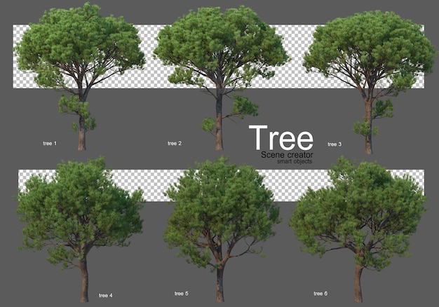 Bella varietà di rendering di grandi alberi