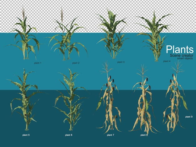 PSD beautiful variety of crops in different styles