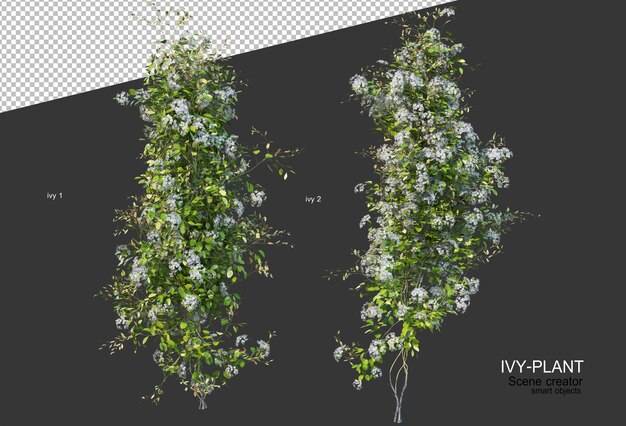 Beautiful variety of flowers in 3d rendering