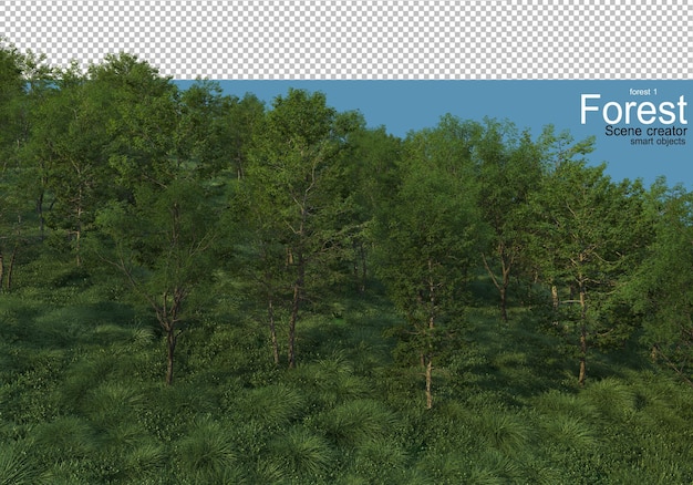 PSD beautiful variety of forest layouts