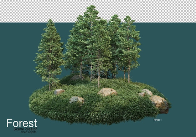 Beautiful variety of forest layouts