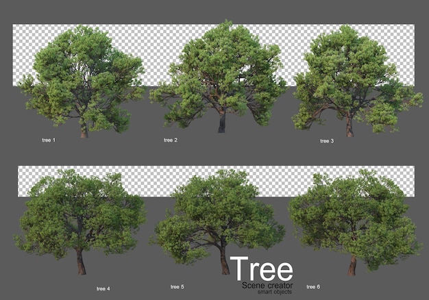 PSD さまざまな大きな木のレンダリング