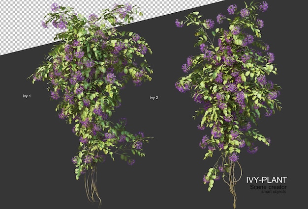 PSD 3dレンダリングで美しいさまざまな花