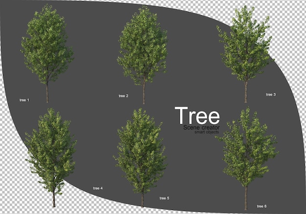 さまざまな樹木レンダリング