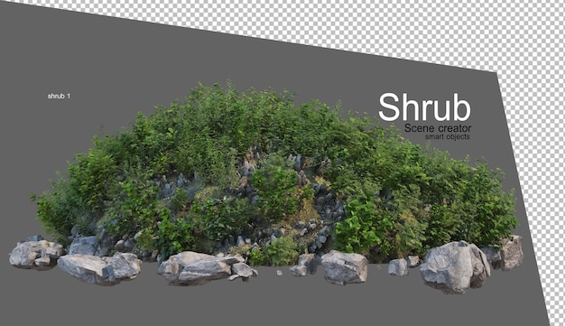 Beautiful variety of shrubs rendering
