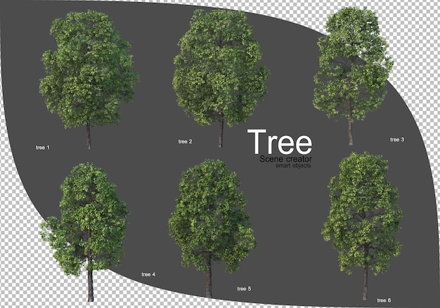 Bella varietà di rendering di alberi