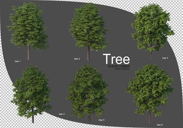 Bella varietà di rendering di alberi