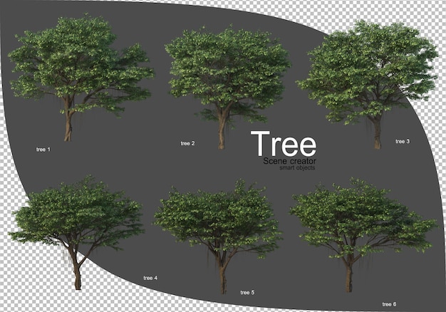 PSD bella varietà di rendering di alberi