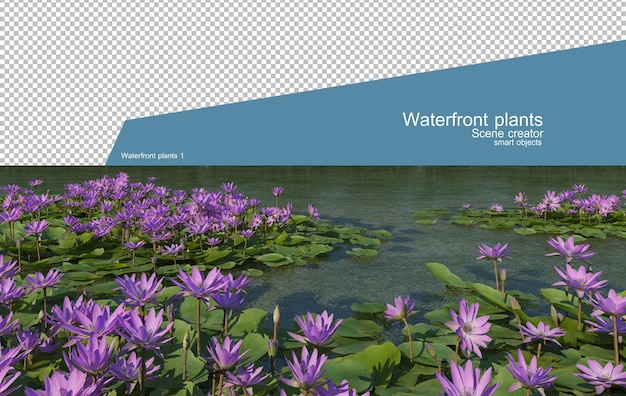 Beautiful variety of waterfront plants