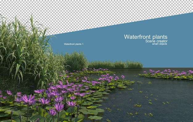 Beautiful variety of waterfront plants