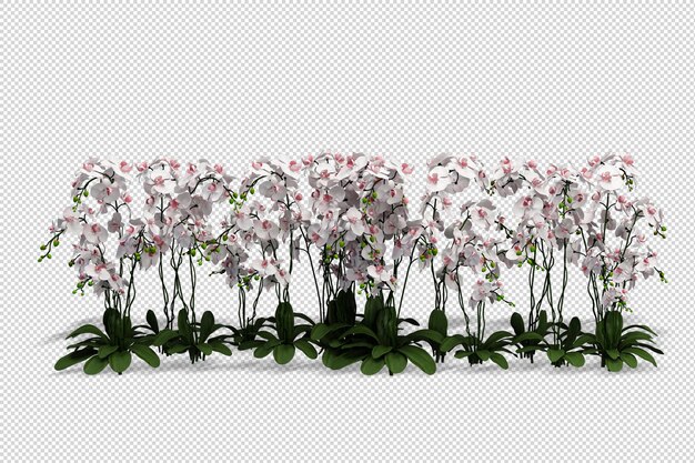 Bellissimi vari tipi di fiori nel rendering 3d isolati