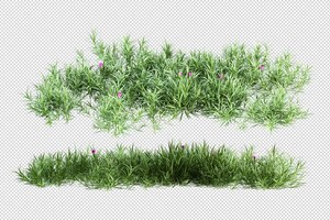 Beautiful various kinds of flowers in 3d rendering isolated