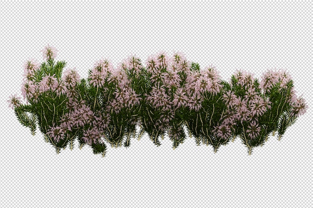 分離された3Dレンダリングで美しいさまざまな種類の花