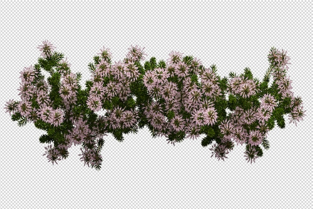 分離された3Dレンダリングで美しいさまざまな種類の花