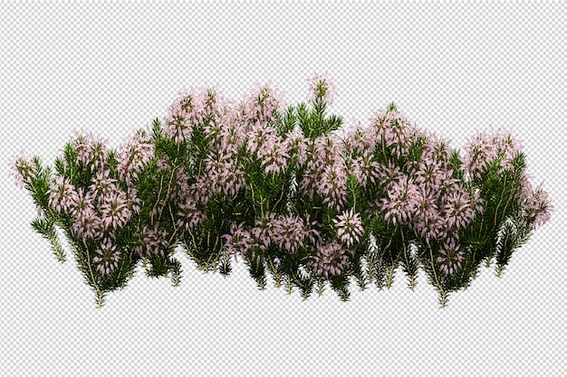分離された3Dレンダリングで美しいさまざまな種類の花