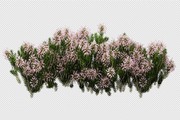 Bellissimi vari tipi di fiori in rendering 3d isolati