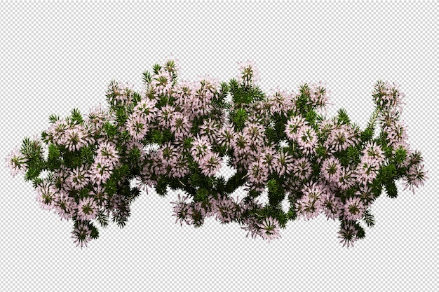 分離された3Dレンダリングで美しいさまざまな種類の花